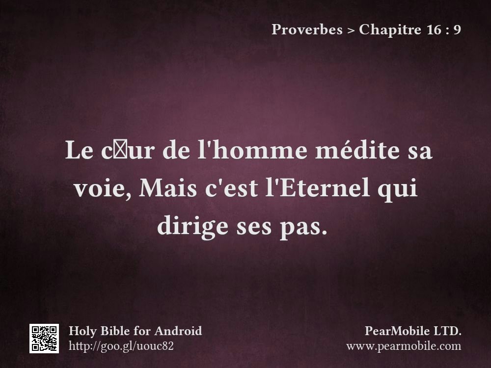 Proverbes, Chapitre 16:9